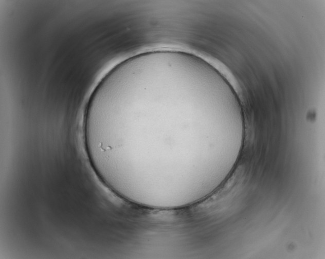 X0000102281006200808221300
