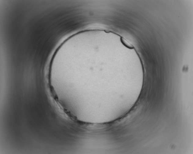 X0000102281008200808221259