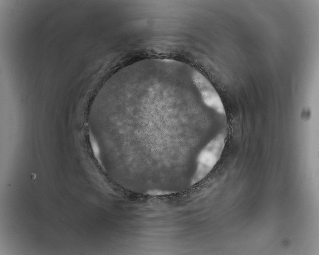 X0000102281009200808221259