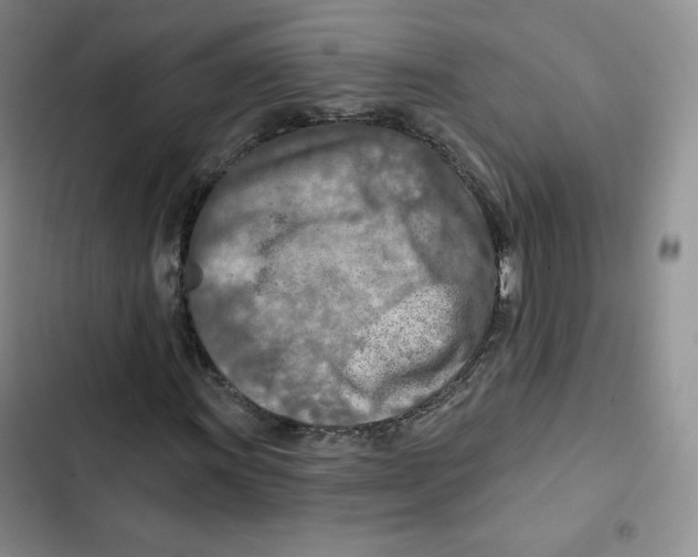 X0000102281011200808221259