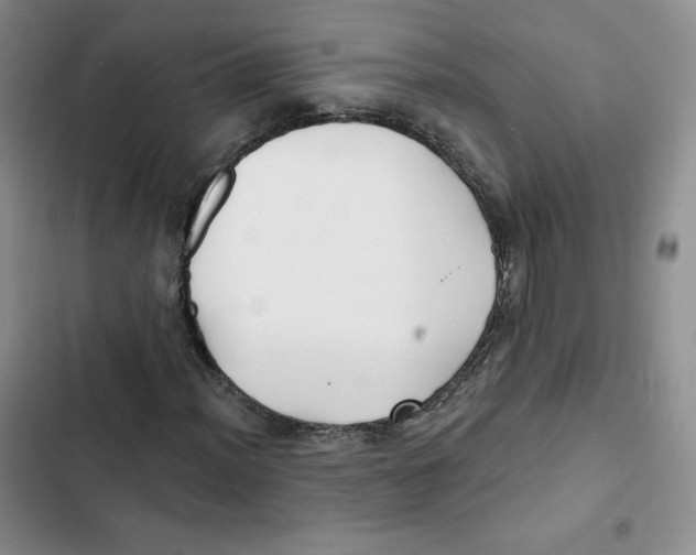 X0000102281012200808221259