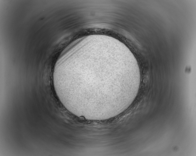 X0000102281014200808221259