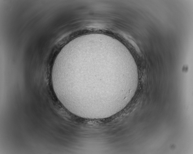 X0000102281015200808221259
