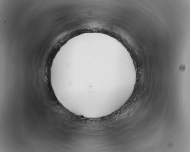 X0000102281016200808221259