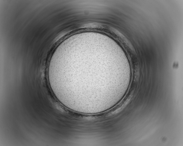 X0000102281017200808221259