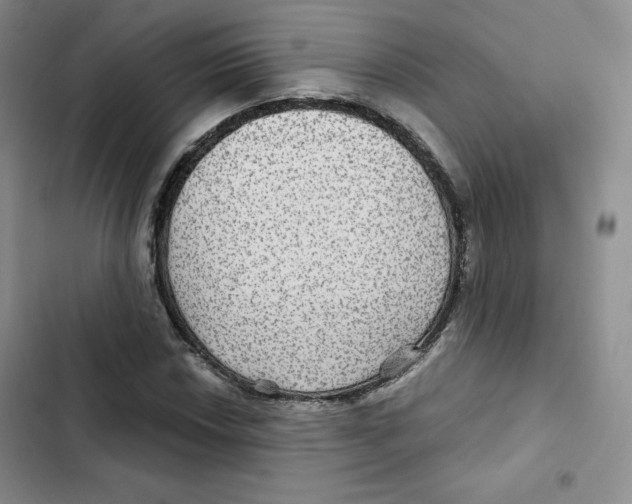 X0000102281018200808221259