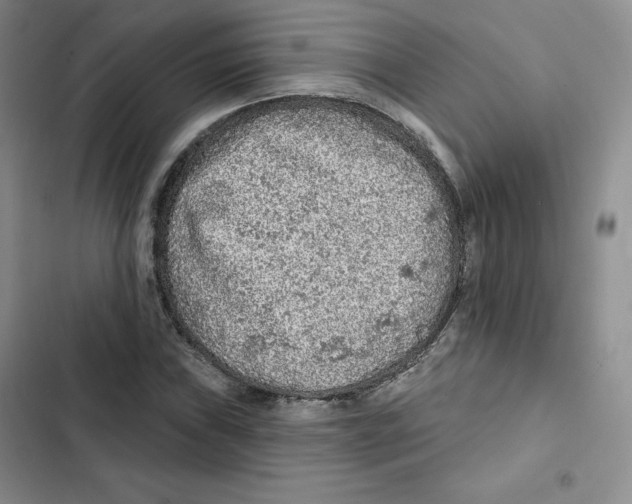 X0000102281019200808221259