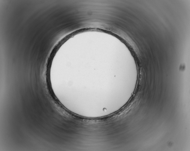 X0000102281020200808221259