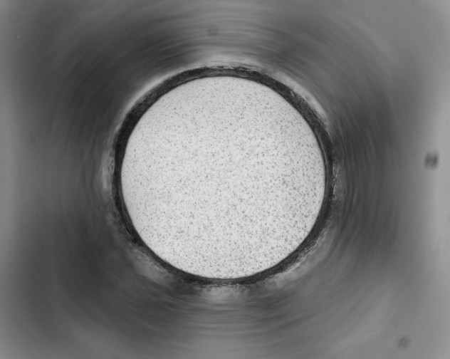 X0000102281021200808221259