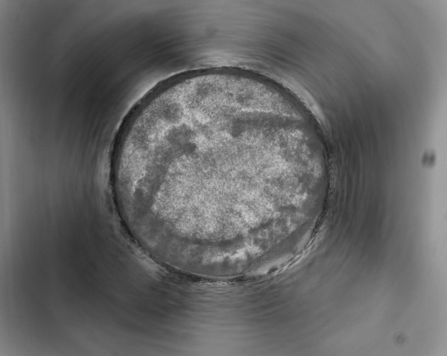 X0000102281023200808221259