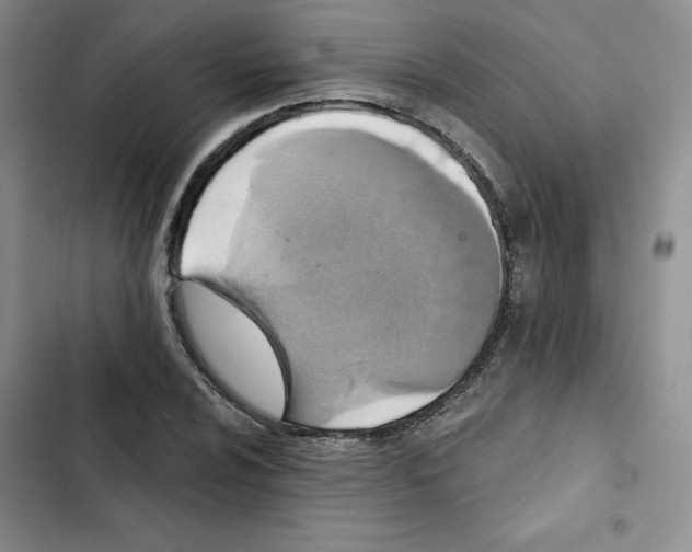 X0000102281024200808221259