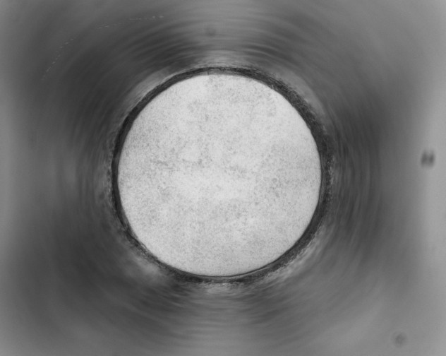 X0000102281025200808221259