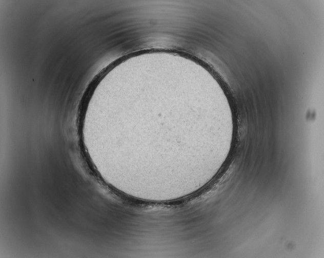 X0000102281026200808221259