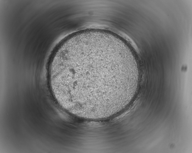 X0000102281027200808221259