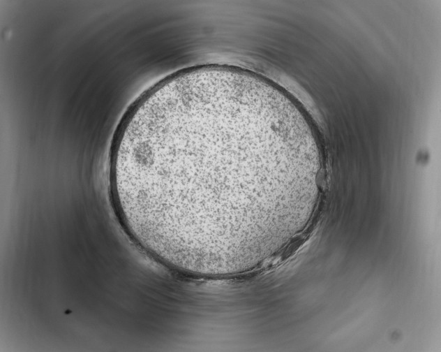 X0000102281028200808221259