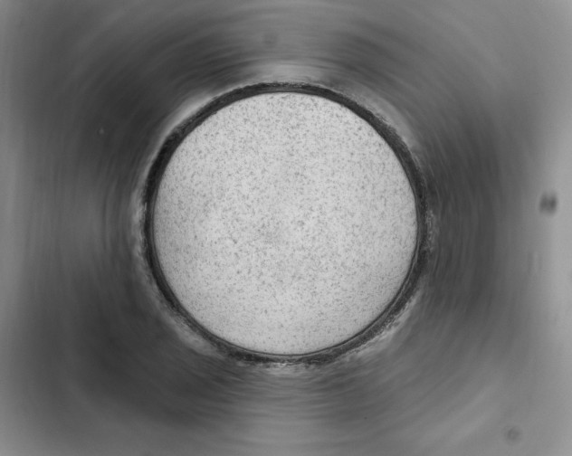 X0000102281029200808221259