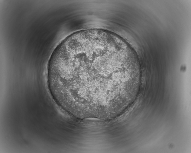 X0000102281031200808221259