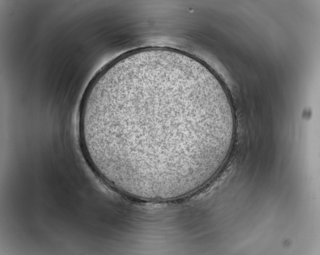 X0000102281032200808221259
