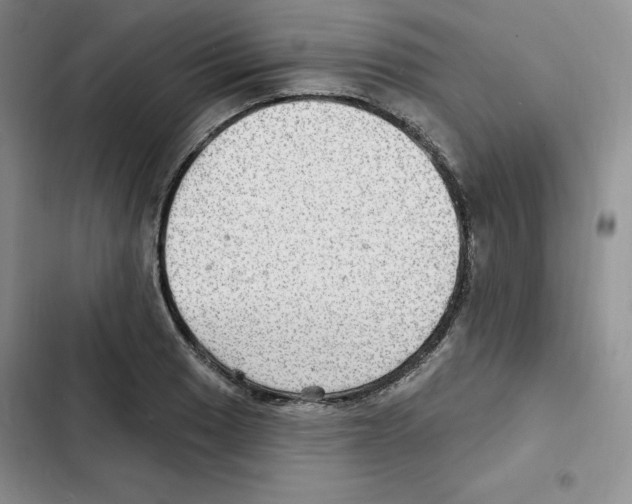 X0000102281033200808221259