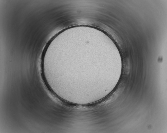 X0000102281034200808221259