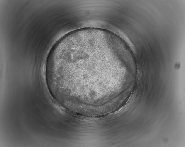 X0000102281035200808221259