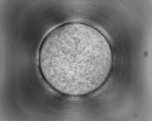 X0000102281036200808221259