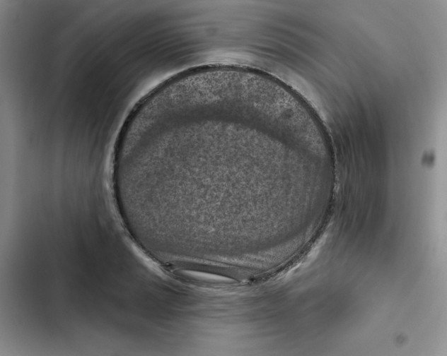 X0000102281037200808221259