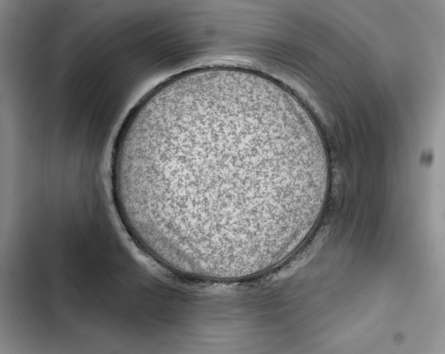 X0000102281038200808221259
