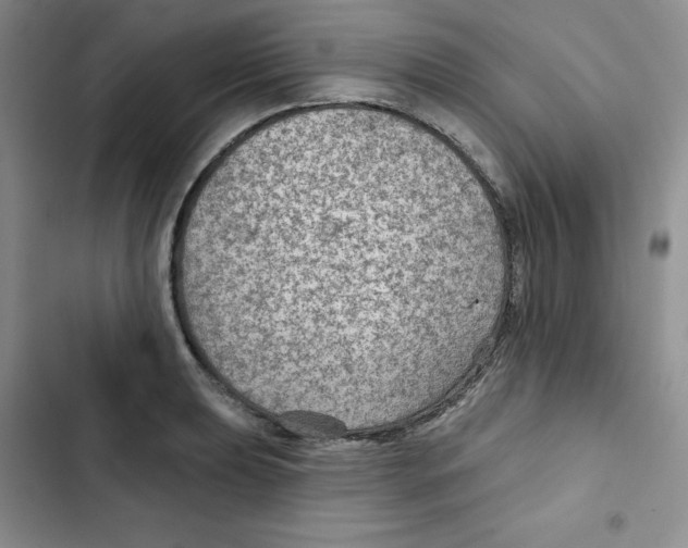 X0000102281039200808221259