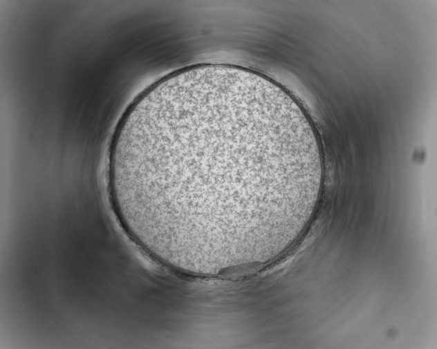 X0000102281040200808221259
