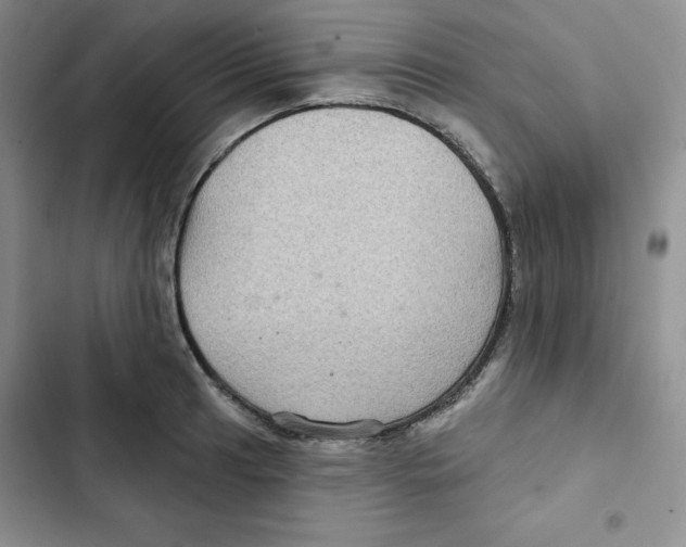 X0000102281041200808221259