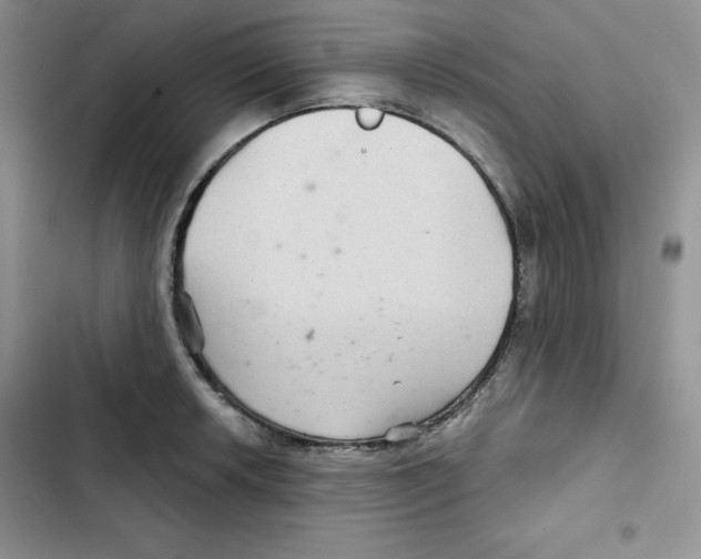 X0000102281042200808221259