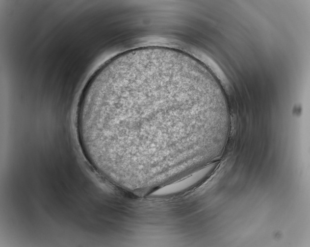 X0000102281043200808221259