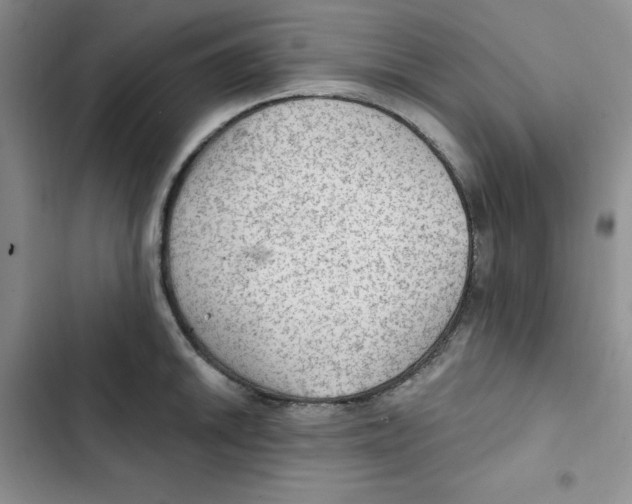 X0000102281046200808221259