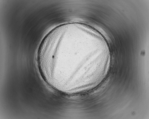 X0000102281047200808221259