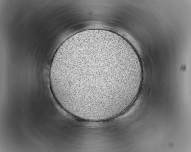 X0000102281049200808221259