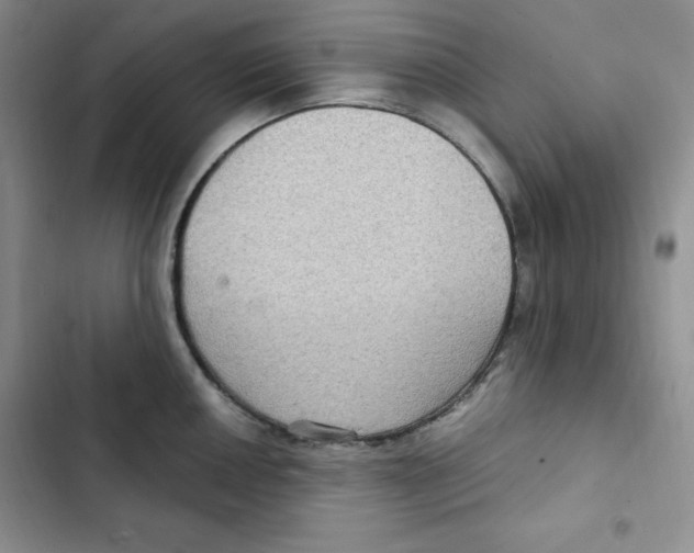 X0000102281050200808221259