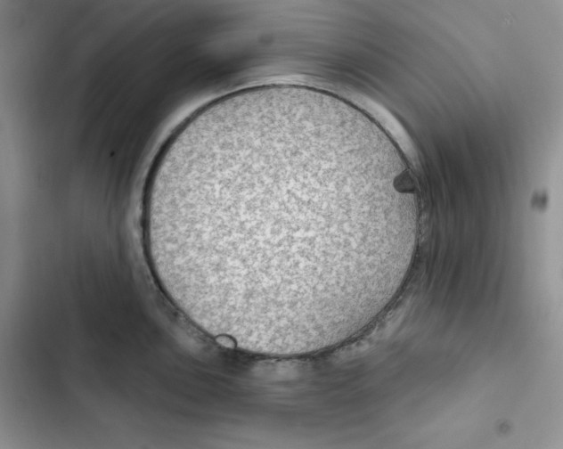 X0000102281051200808221259