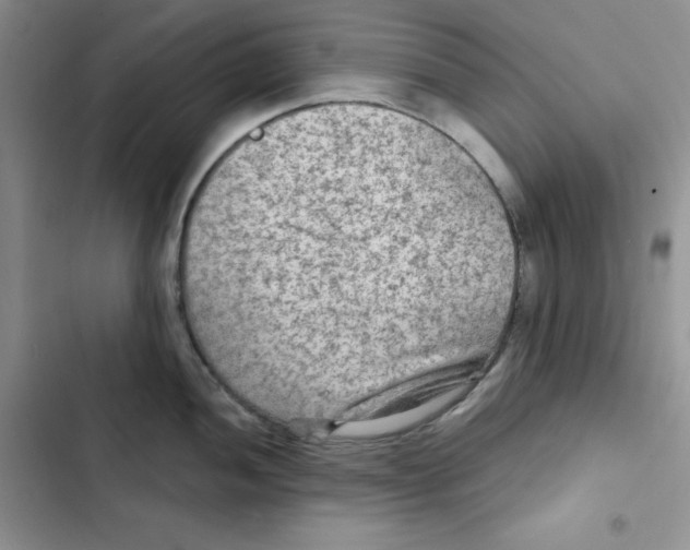 X0000102281052200808221259