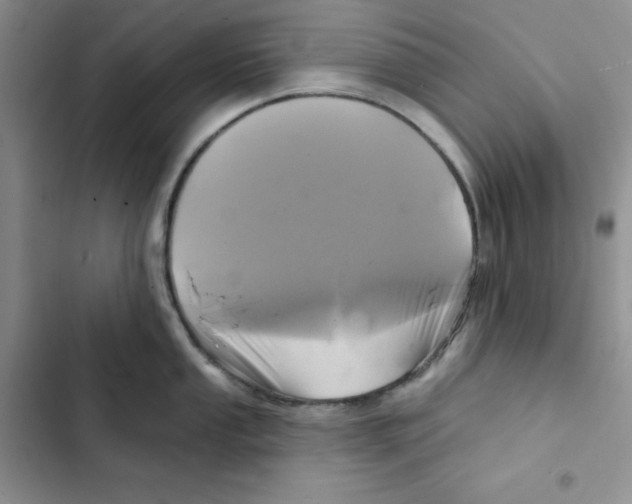 X0000102281053200808221259