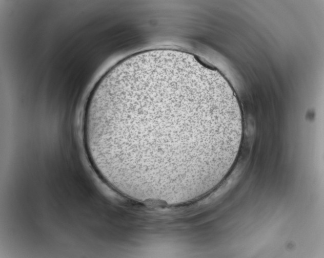 X0000102281054200808221259