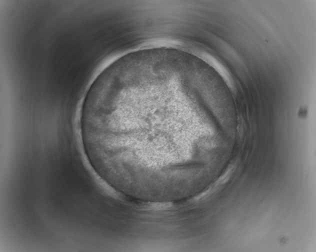 X0000102281055200808221259