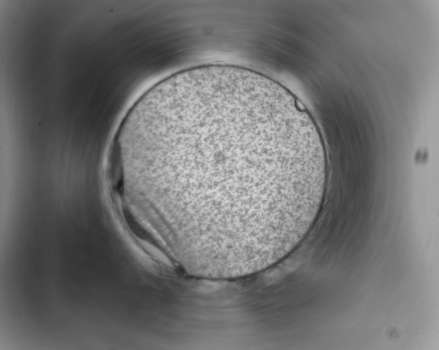 X0000102281056200808221259