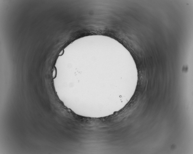 X0000102281057200808221259