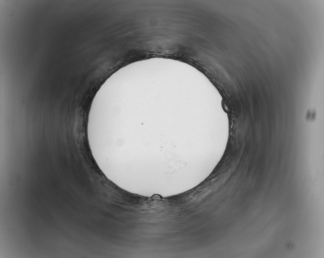 X0000102281058200808221259