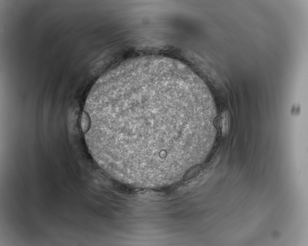 X0000102281059200808221259