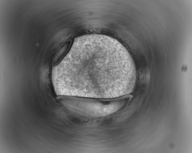 X0000102281060200808221259