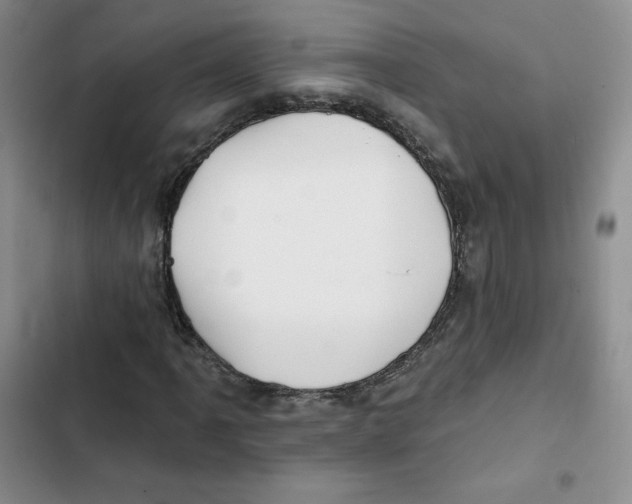 X0000102281061200808221259