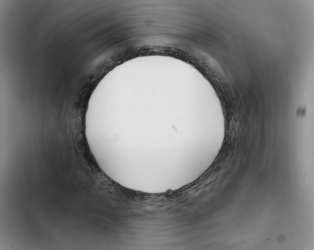 X0000102281062200808221259