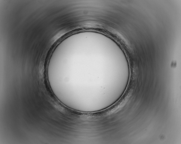 X0000102281065200808221259